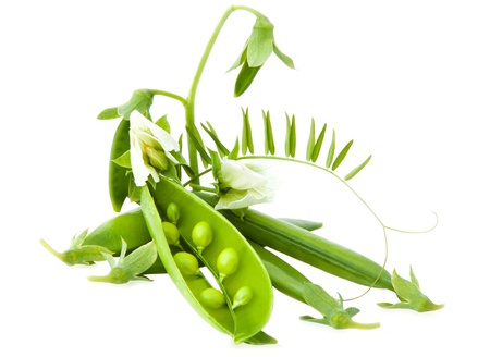 Peapods with flowers isolated on a white backgroundの写真素材