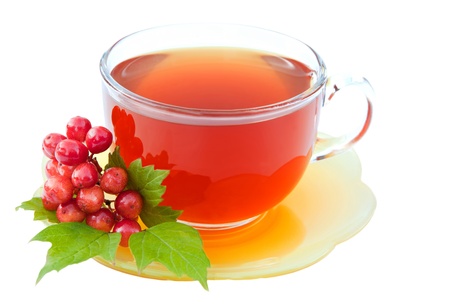 Cup of tea with viburnum isolated on white  backgroundの写真素材