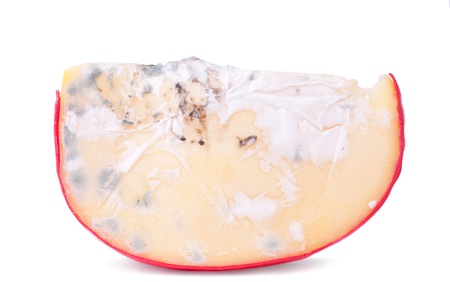 Moldy gouda cheeseの写真素材
