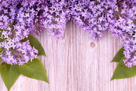  Beautiful lilac flowers on wooden  surface