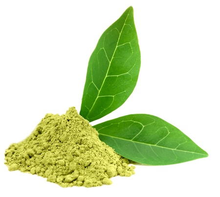 Green  powder matcha tea isolated on white. の写真素材