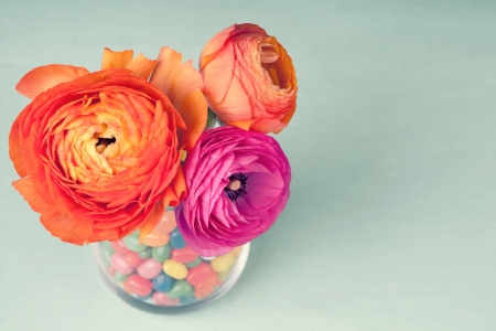 Pink and orange colorful ranunculus in a vase decorated by a sweets on vintage blue background の写真素材