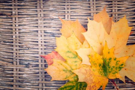 An yellow bunch of autumn  leaves on wicker backgroundの写真素材