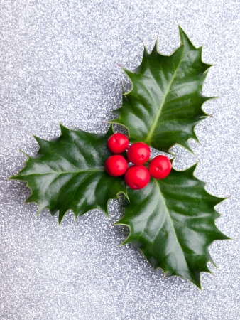 Christmas holly with red berries on silver holiday backgroundの写真素材
