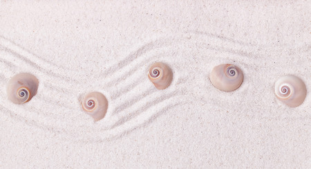 Snail shells half submerged under the fine sand of the zen garden with wavy patterns in the sandの写真素材