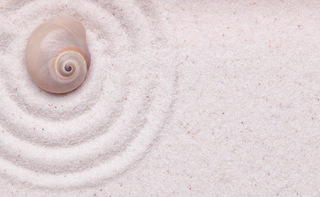 Zen garden with  a shell  and wave pattern in the sandの写真素材