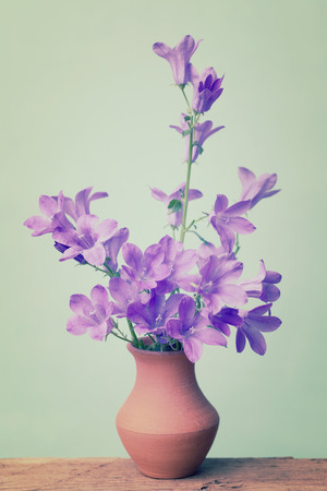 Companula flowers in a ceramic vase on an old rough woodの写真素材