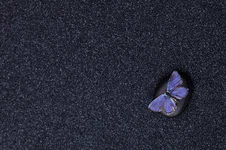 A blue butterfly in a zen garden with a black sandの写真素材