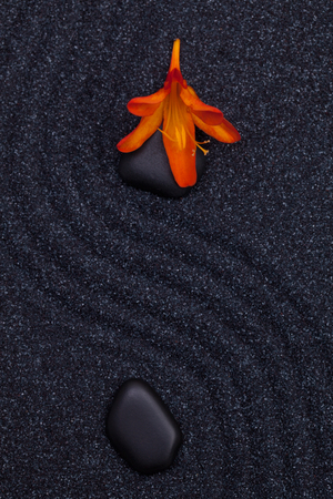 Flower in a black stone in a zen garden with wave linesの写真素材