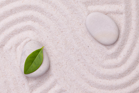 A green leaf in zen garden with wave linesの写真素材