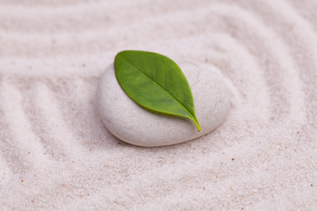 Peaceful green leaf on white zen stoneの写真素材