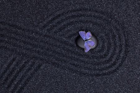 Zen garden with wave lines in the black sand with a light blue butterfly