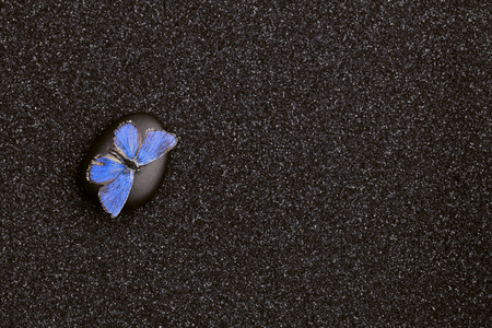 A light blue butterfly in a zen garden with  black sandの写真素材