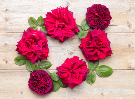 Frame wreath with different red garden roses flowers. Top view. Flat lay.の写真素材