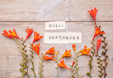 HELLO SEPTEMBER printed on retro  paper with crocosmia flowersの写真素材