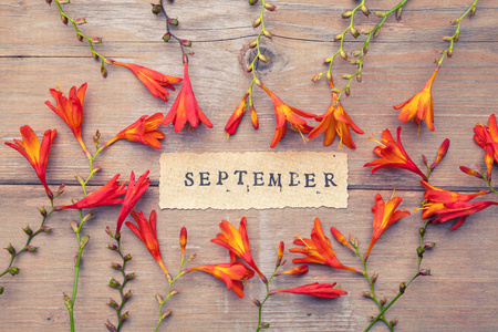 Word SEPTEMBER printed on vintage paper with wreath frame with  crocosmia flowersの写真素材