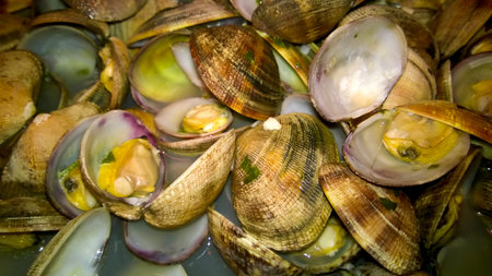 Clams with garlic and parsley sauce