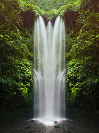 Hight waterfall at wild jungle.の写真素材
