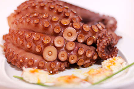 Close-up of cooked octopus on a plateの写真素材