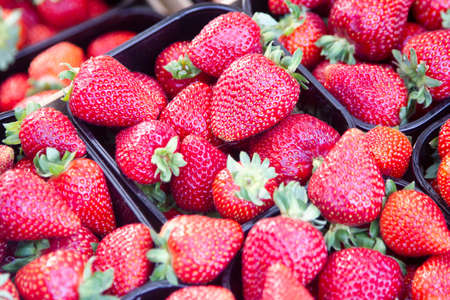 Big size strawberriies in an organic market. Fruit is full of vitamin and healthy desset. First red berries for spring seasonの写真素材