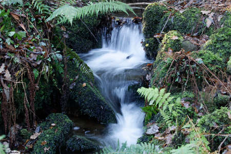 Waterfall with rain forest on mountainの写真素材