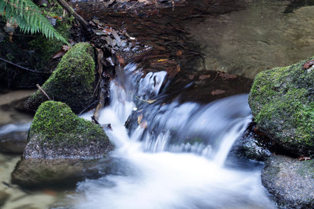Waterfall with rain forest on mountain
