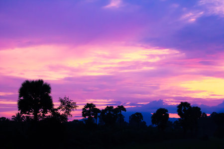 sky sunset in evening