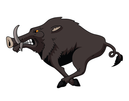 Wild Boarのイラスト素材