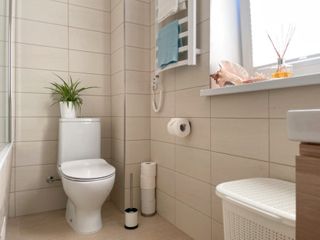 White toilet bowl in a cream colored bathroom interior. Cleaning and organizing. freshness context. Bathroom decorated with green plant and sea shells. horizontal orientationの写真素材