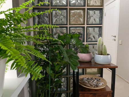 Beautiful indoor interior with home plants in white ceramic pots, wooden plate with collected stonesの写真素材