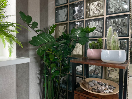 Beautiful indoor interior with home plants in white ceramic pots, wooden plate with collected stonesの写真素材