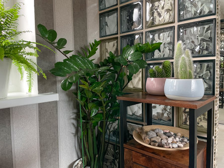 Beautiful indoor interior with home plants in white ceramic pots, wooden plate with collected stonesの写真素材