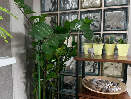 Beautiful indoor interior with home plants in white ceramic pots, wooden plate with collected stonesの写真素材