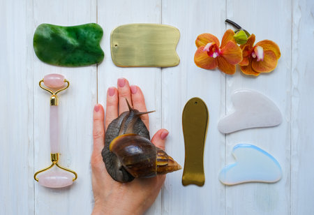 Spa concept gua sha massage body and face care and snails achatina on handの写真素材