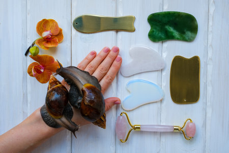 Two achatinas on hand and facial massage kit made from natural stones and metalの写真素材