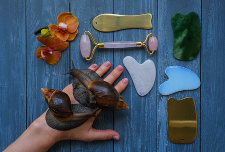 Skin care beauty concept with giant snails, face roller and guasha massagersの写真素材