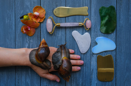 Skin care beauty concept with giant snails, face roller and guasha massagersの写真素材