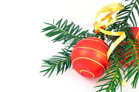 Christmas ball with christmas tree over whiteの写真素材