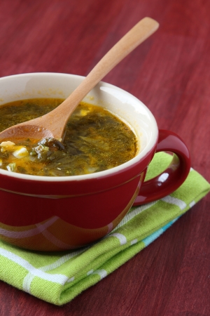 A red bowl of green vegetable soupの写真素材