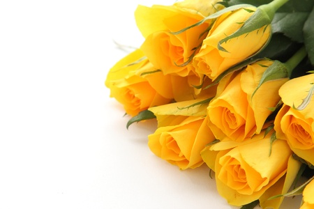 Bouquet of yellow roses on white backgroundの写真素材