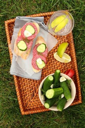 Homemade fresh salted cucumbers in the bowl and sandwiches with smoked sausageの写真素材
