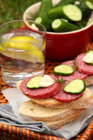 Sandwiches with smoked sausage and homemade fresh salted cucumbers in the bowlの写真素材