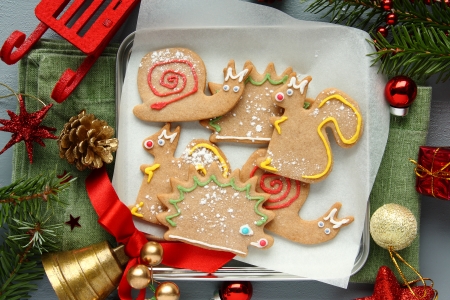 Homemade gingerbread cookies with icing. Different animal shapesの写真素材