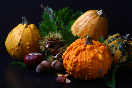 Autumn composition over black. Thanksgiving day conceptの写真素材