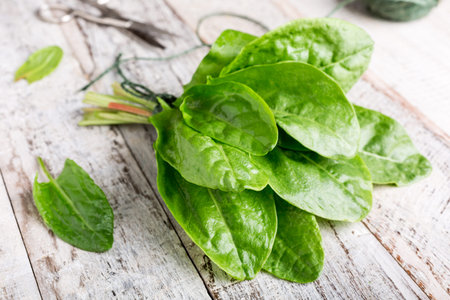 Fresh organic sorrel leaves on old white wooden background. Healthy food concept.の写真素材