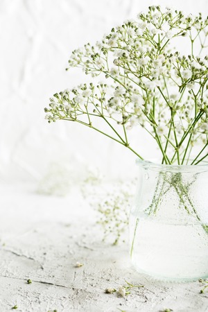 Bunch of Gypsophila, Baby's-breath flowers, in glass vase on white background.の写真素材