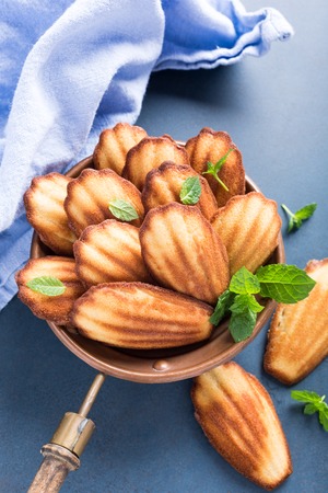 Homemade anise cookies Madeleine with mint on blue background. Holidays food.の写真素材