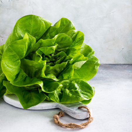Head of fresh organic lettuce salad on marble cutting board on light gray stone background. Healthy food concept with copy space.の写真素材
