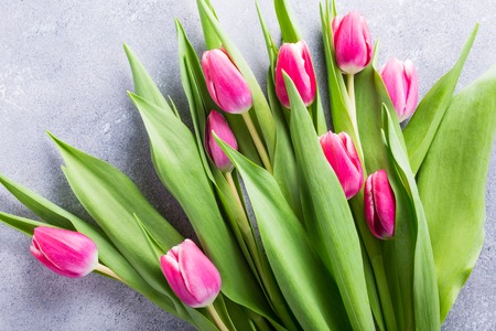 Beautiful pink tulips on light stone background. Easter day concept. Copy space.の写真素材