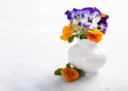 Beautiful bouquet of purple and orange pansy flower in white ceramic vase. Holiday postcard concept with copy space.の写真素材